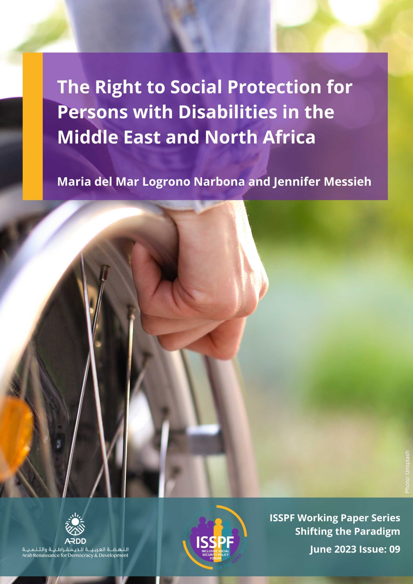 The Right to Social Protection for Persons with Disabilities in the ...